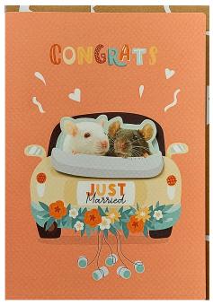 Congrats JUST Married wenskaart