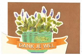 Wenskaart Dank je wel bij geschenk