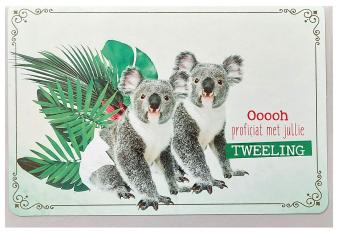 Geboortekaartje voor een tweeling