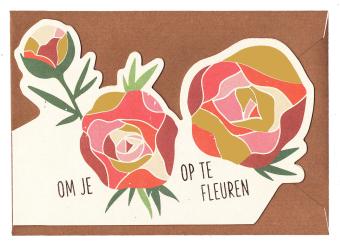 kaartje beterschap