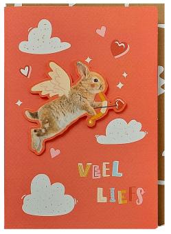 VEEL LIEFS wenskaartje
