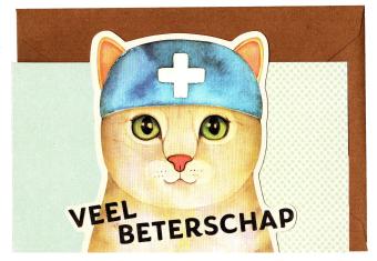 leuk beterschapskaartje