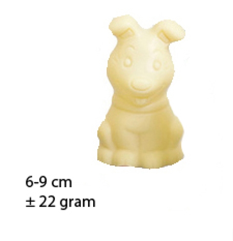 Sinterklaaspakket met Belgische chocolade bestellen