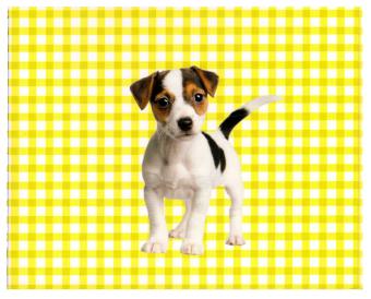 Kaartje bij uw relatiegeschenk met boodschap